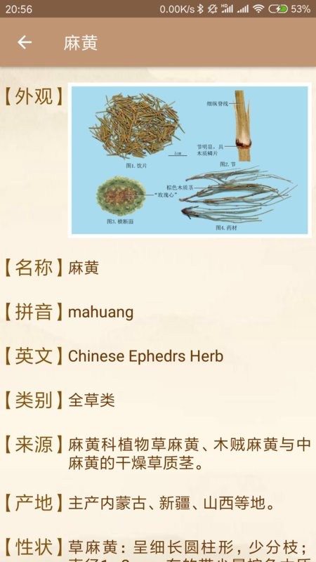 中医方歌app图2