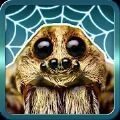 蜘蛛大乱斗（SpiderBattles ft. GagamGirl）图标