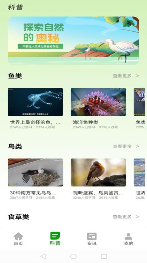动物世界大全官方版