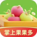 掌上果果多app图标
