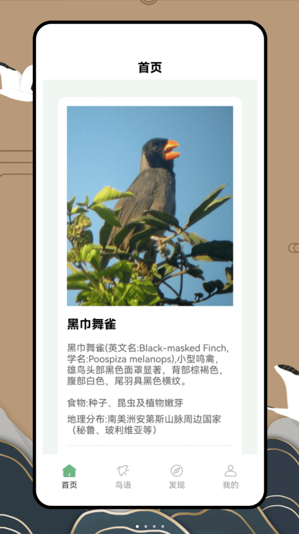 百鸟记软件