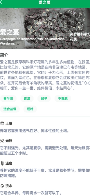 小绿植物手机版图4