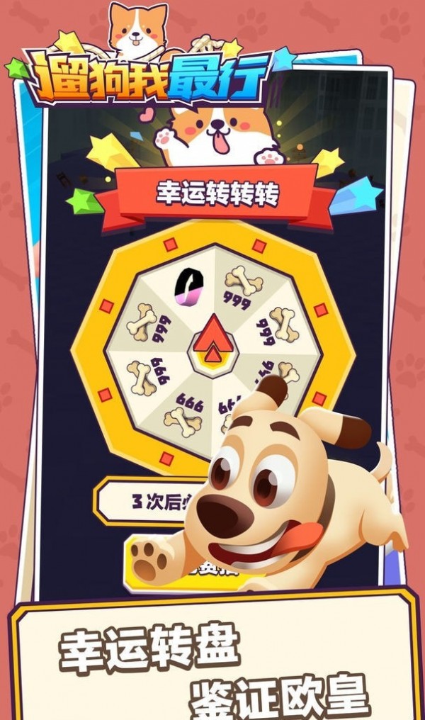 遛狗我最行游戏图1