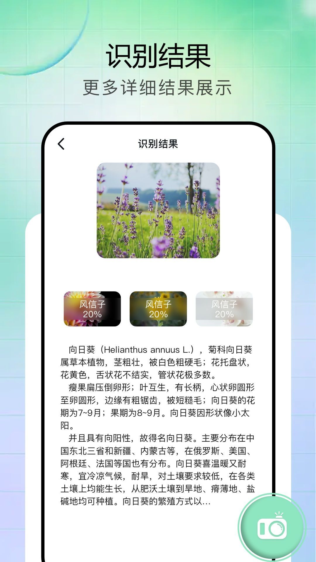 vFlat全能扫描王app图4