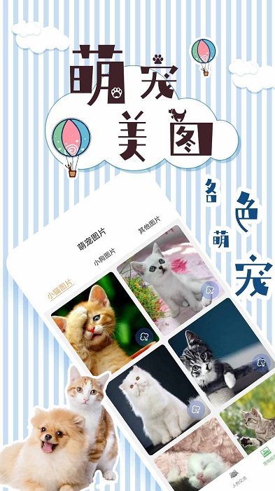 人猫翻译交流器app图2