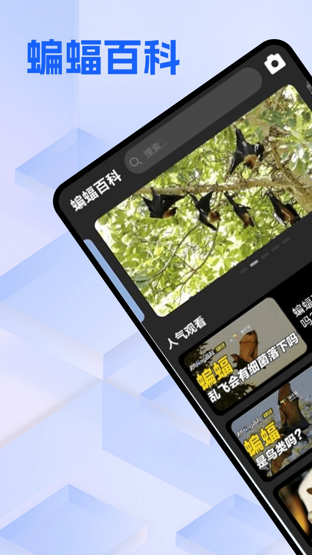 Batchat蝙蝠app图4