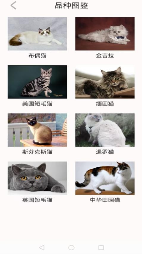 动物世界大全官方版图2