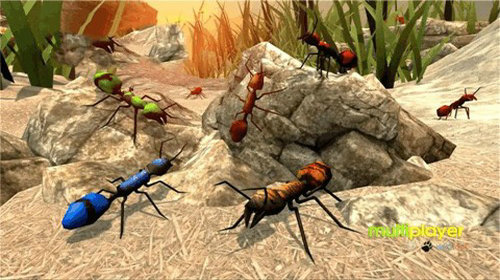 蚂蚁模拟器地下蚁国2（The Ants）图2
