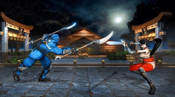 Kung Fu Ninja fight游戏图3