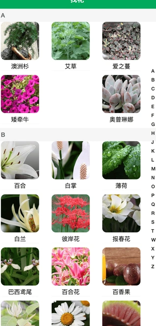 小绿植物手机版图3