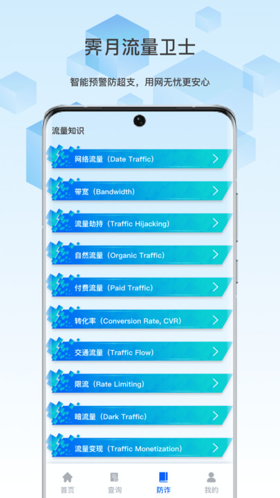 霁月流量卫士app