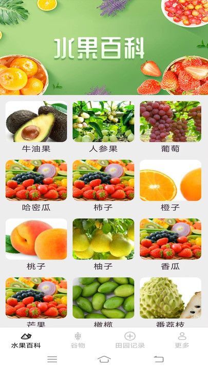 掌上果果多app图1