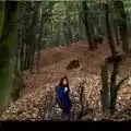 瓜尔罗斯山打猎（Monteria de guarros）图标