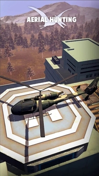 空中狩猎者（Air Hunting Shooting : Deer）图1