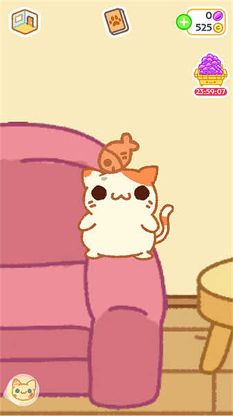 Klep2Cats