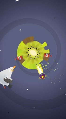 疯狂的鸽子（Pigeon）图3