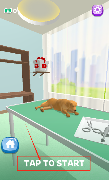 Paw Care游戏