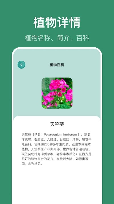 小黄养花app图1