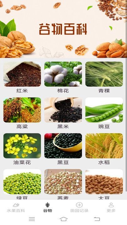掌上果果多app