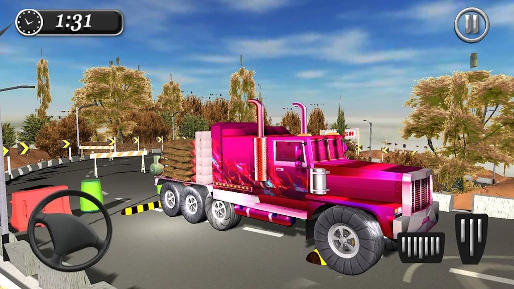 Euro Truck Driver Simulator游戏图3