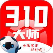 310大师app图标