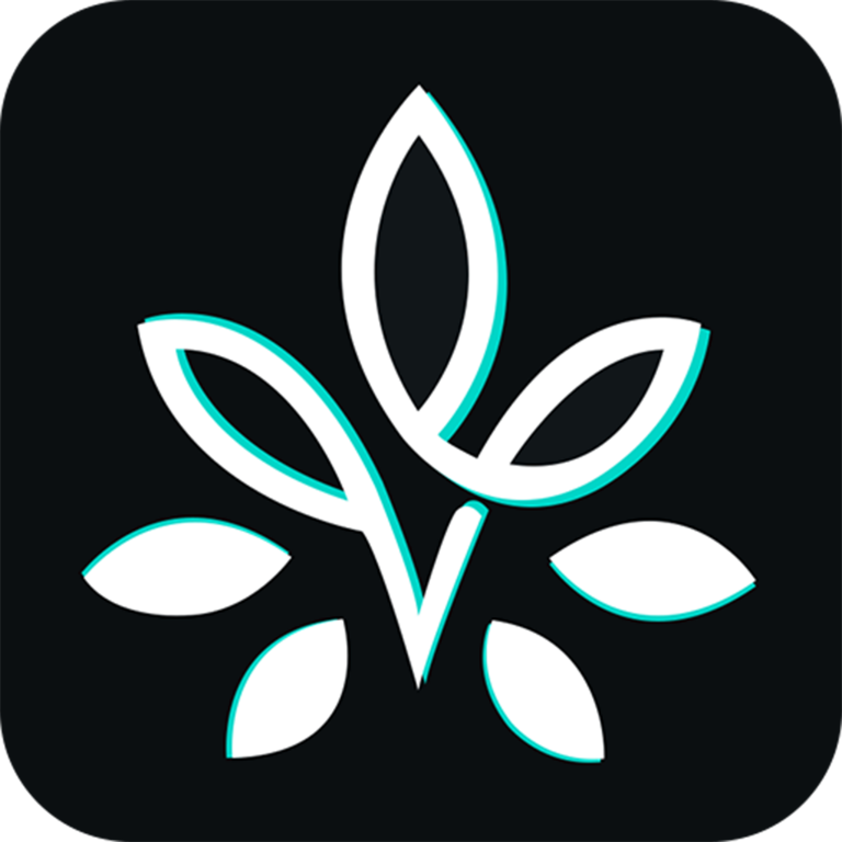 森林氧吧app图标