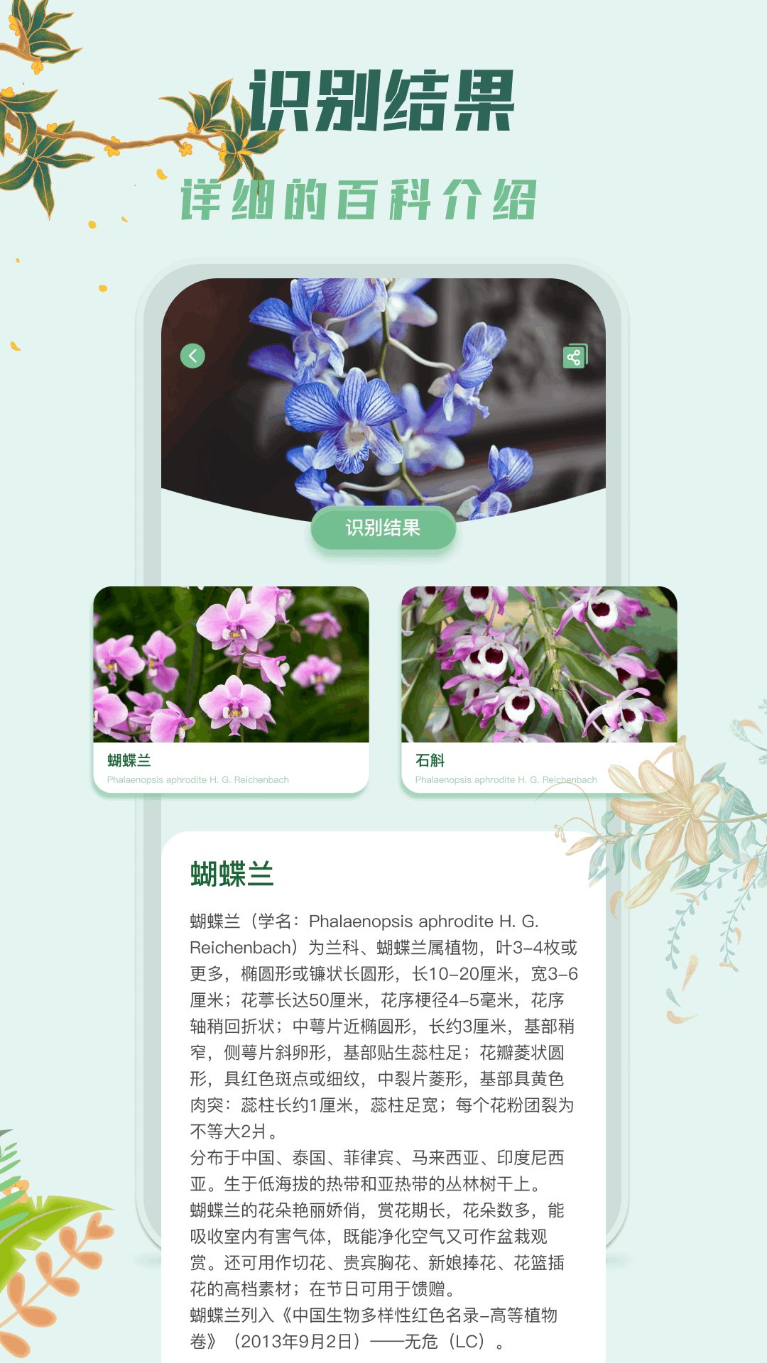 识花君植物识别app图2