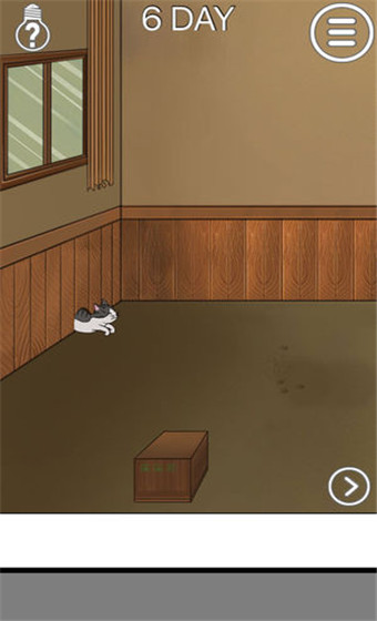 我的猫咪找不到了图3