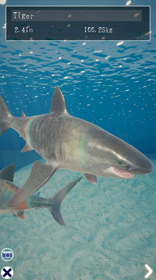 Shark最新版