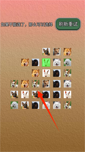 宠物连的快最新版图2