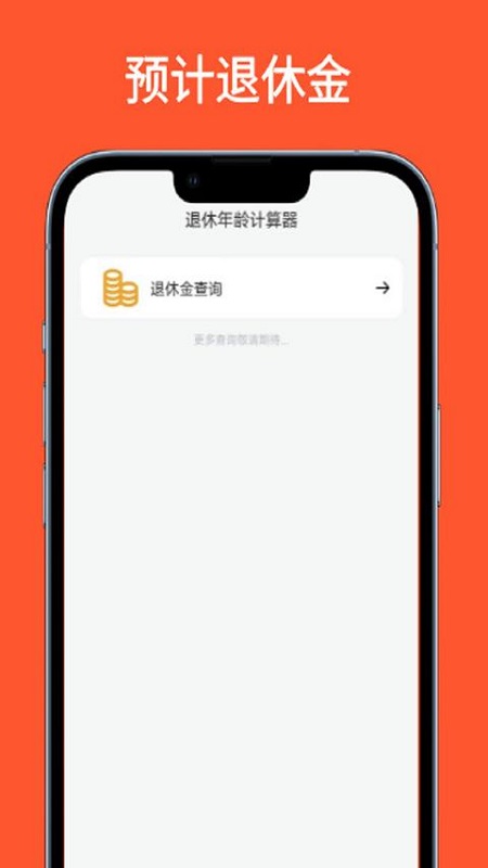 退休年龄计算器app图3