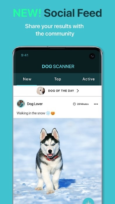 狗狗鉴定器软件图3