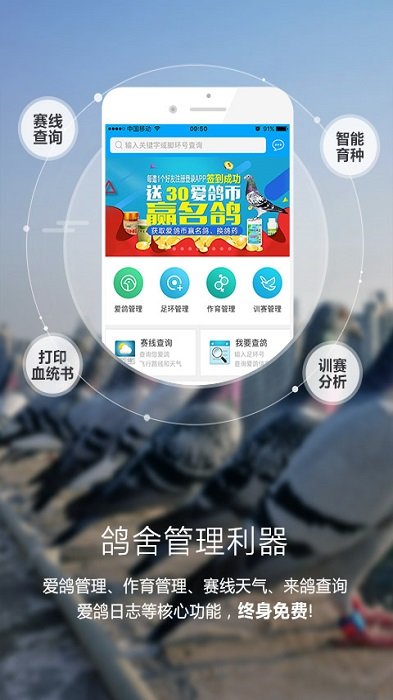 爱鸽者app图2