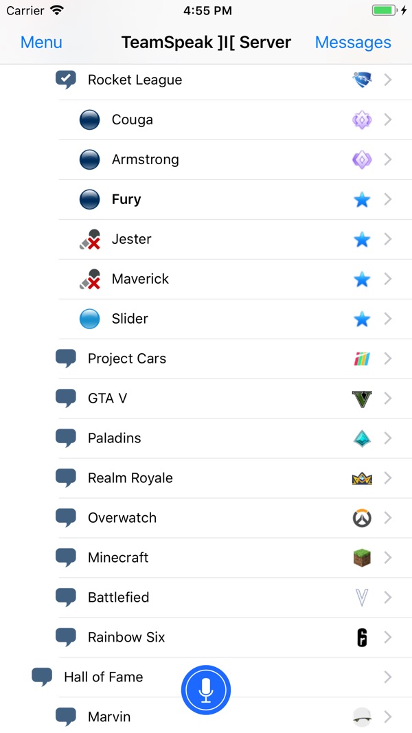 TeamSpeak app图1