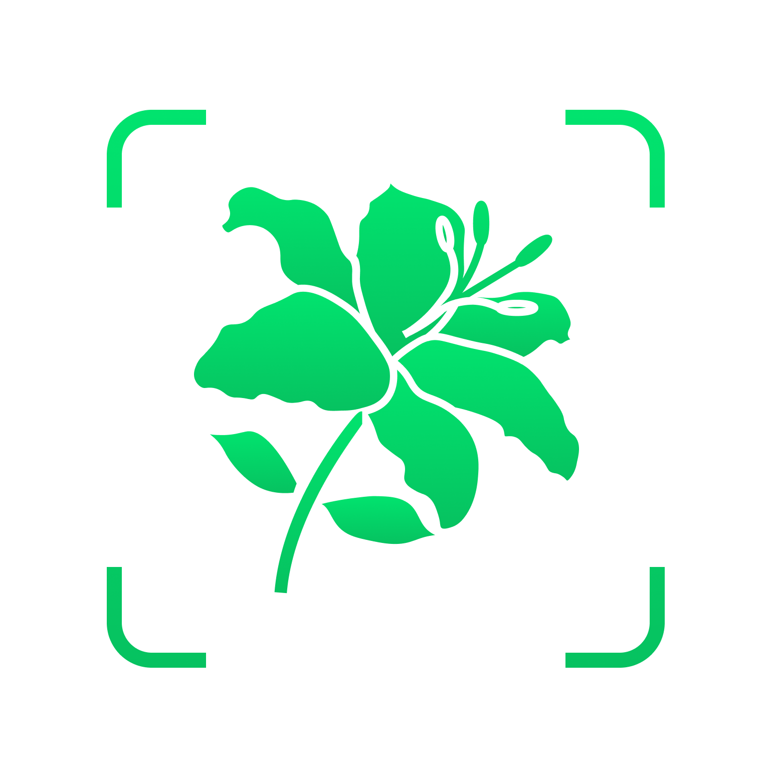 识花识草伴侣软件图标