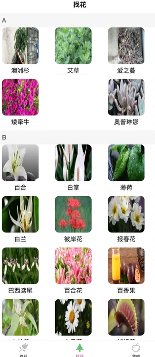 风铭植物手机版