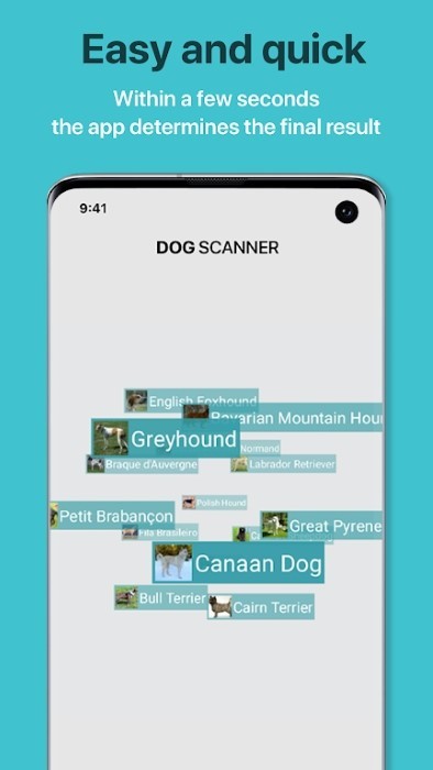 狗狗鉴定器软件图2