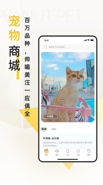 花生宠物app图2