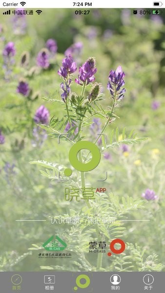 晓草app图1