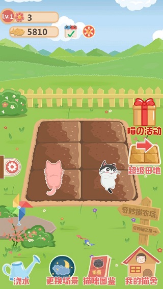 奇妙猫之家手机版图2