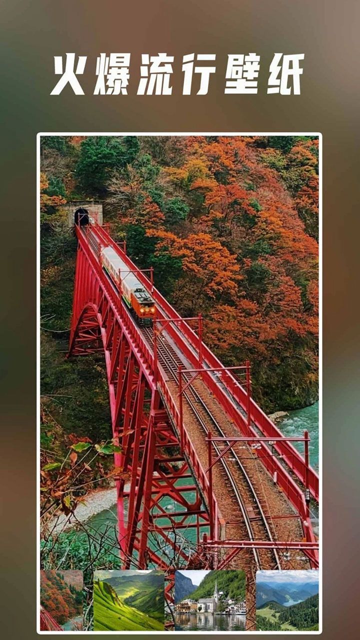 星野茆壁纸app