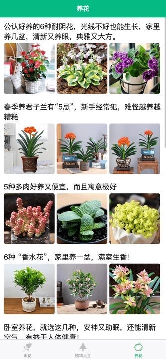 竹馨时光吧app