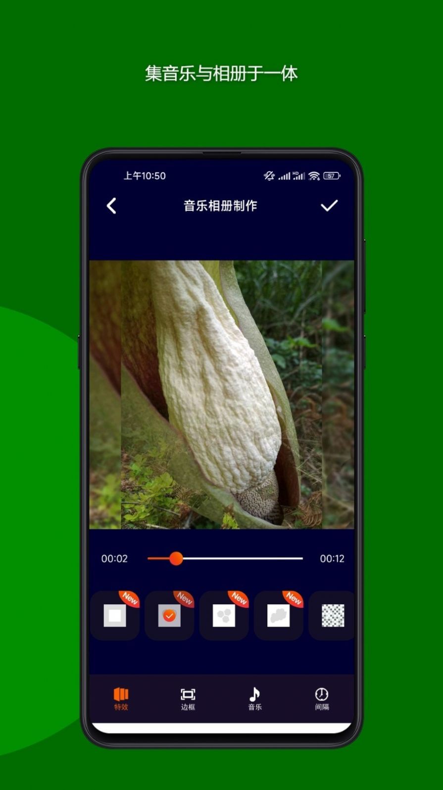魔法音乐相册软件图2