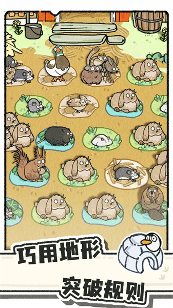 CatTrio官方版图2