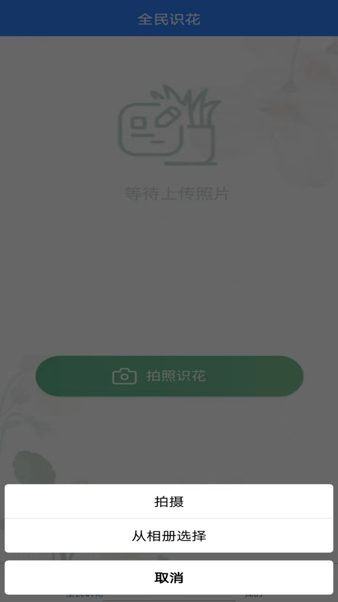 全民识花app图2