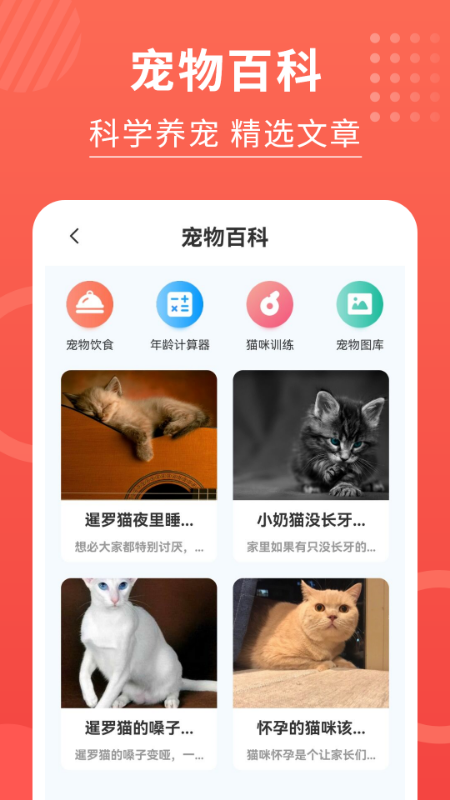 猫猫翻译器软件图1