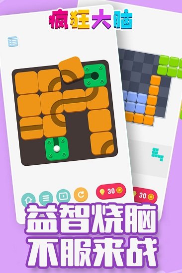 疯狂大脑游戏图1