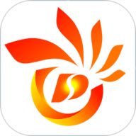 掌心磐石app图标