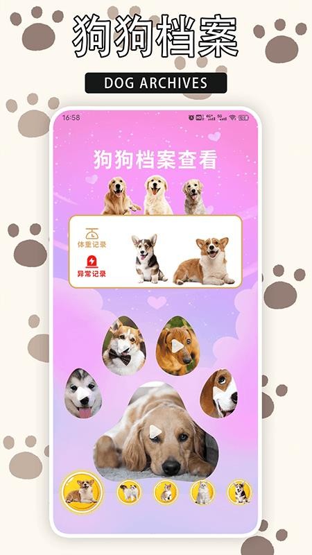 爱游猫app图1