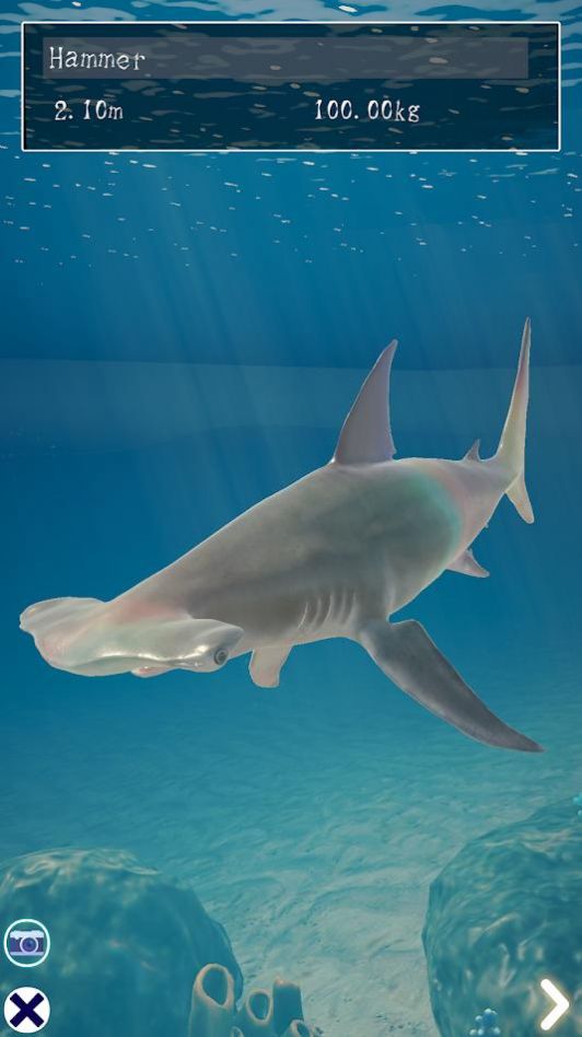 Shark最新版图3